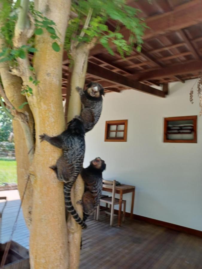 Manjuba Pousada - Taipu De Fora Taipus de Fora Esterno foto