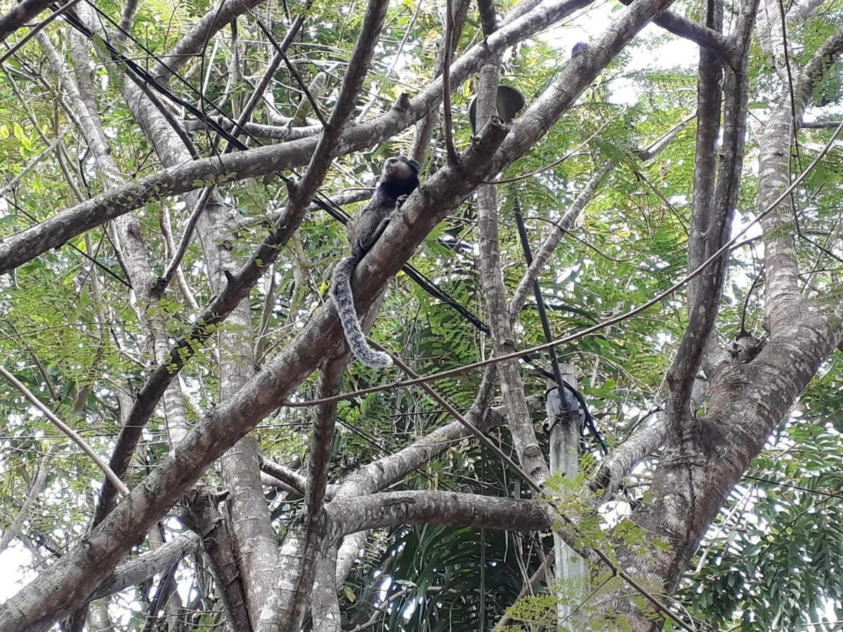 Manjuba Pousada - Taipu De Fora Taipus de Fora Esterno foto